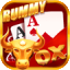 rummy lite 51 bonus icon